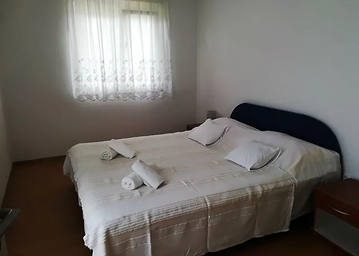 Rosanda 1 *